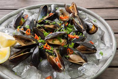 Conwy Mussels