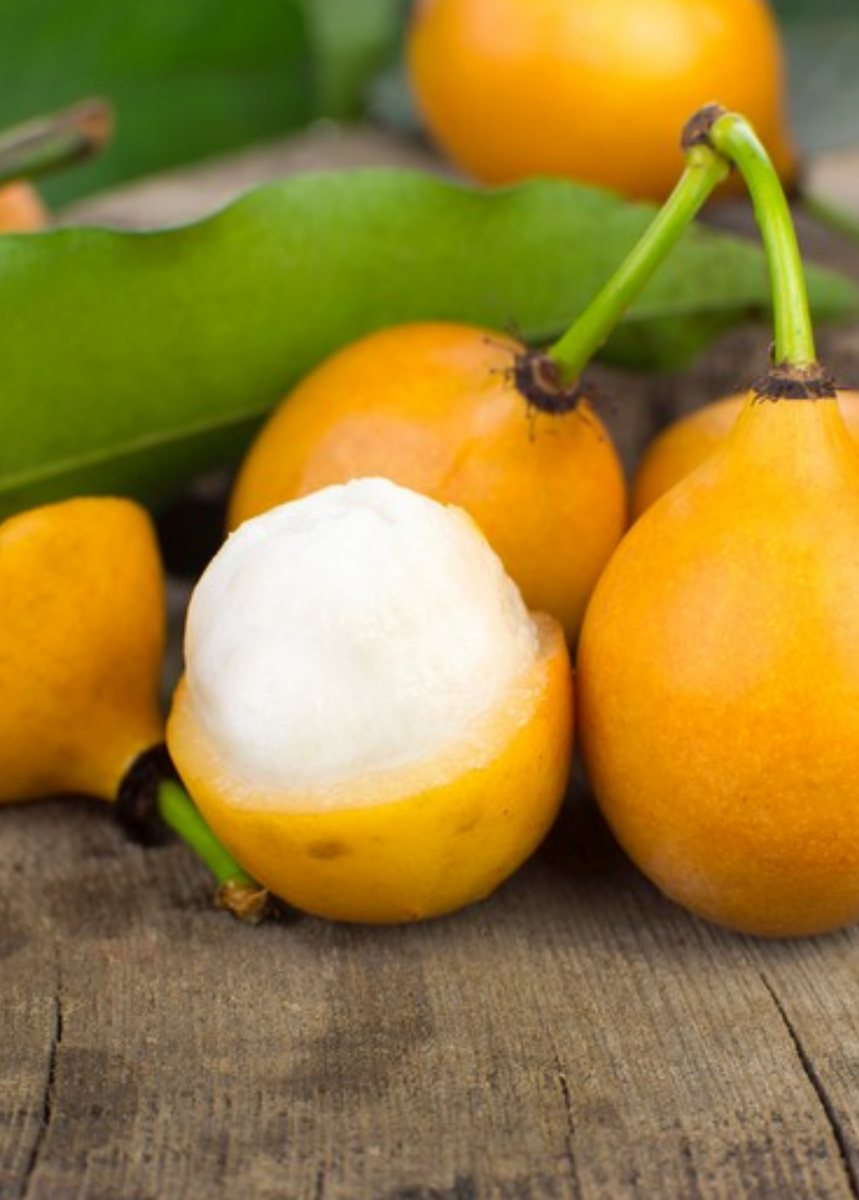 Lemon drop mangosteen